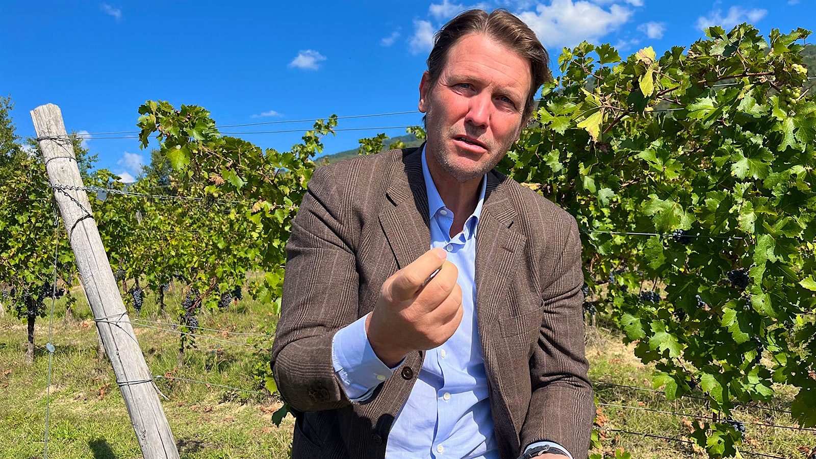 Salvatore Ferragamo in a vineyard at Il Borro estate